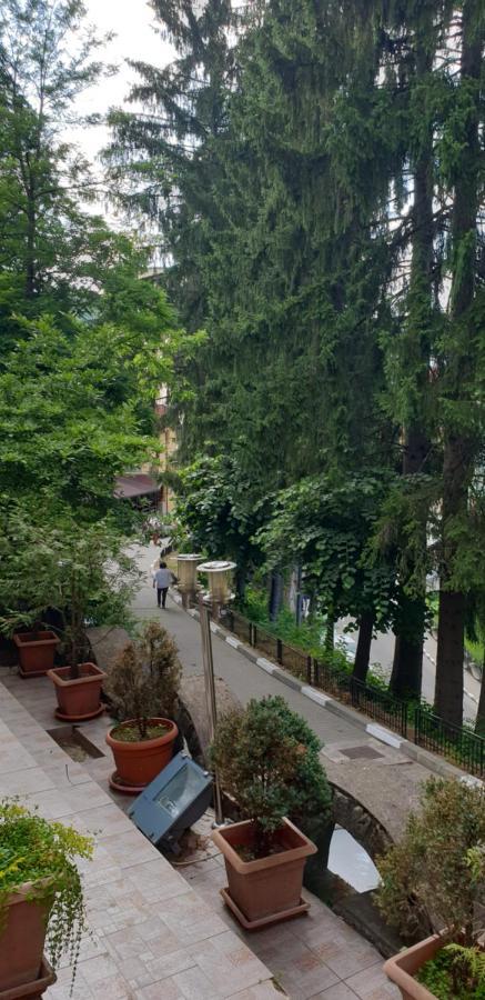 Rosa Villa Băile Olăneşti Exteriér fotografie