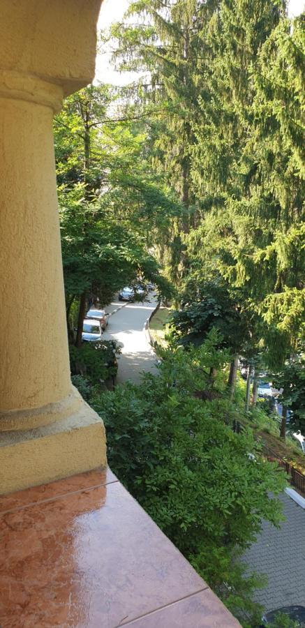 Rosa Villa Băile Olăneşti Exteriér fotografie