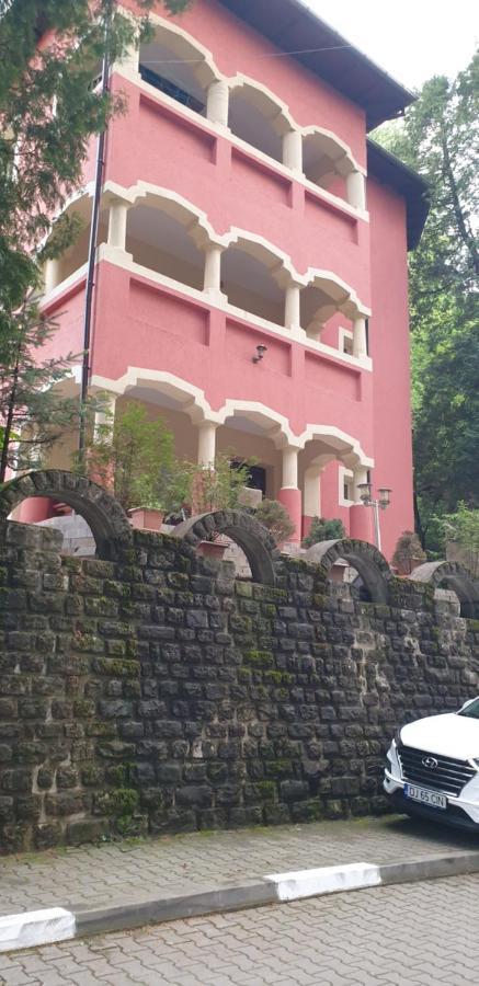 Rosa Villa Băile Olăneşti Exteriér fotografie
