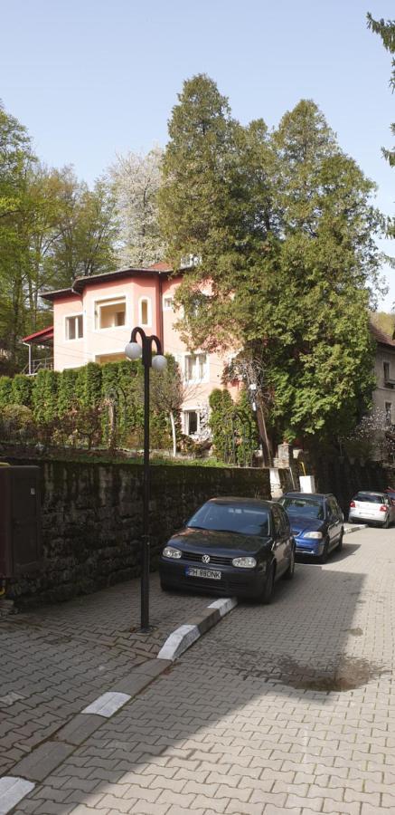 Rosa Villa Băile Olăneşti Exteriér fotografie