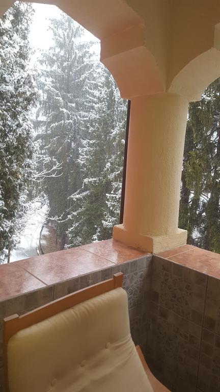 Rosa Villa Băile Olăneşti Exteriér fotografie